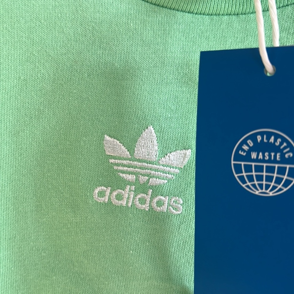 adidas logo tee Originals Essentials cropped t-shirt in mint-Green - Picture 6 of 10